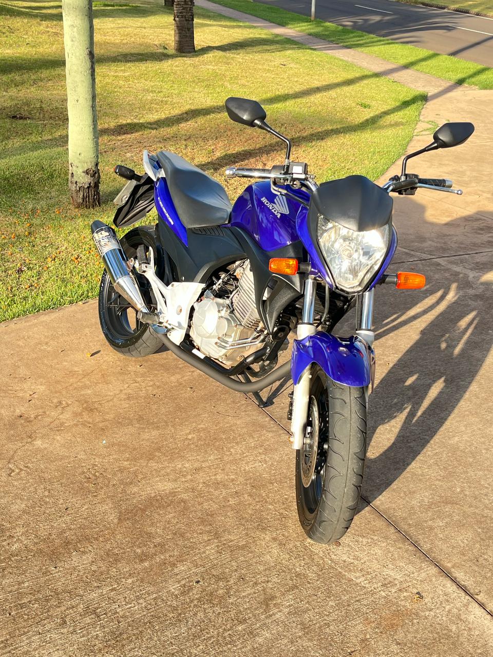 Frontal 1