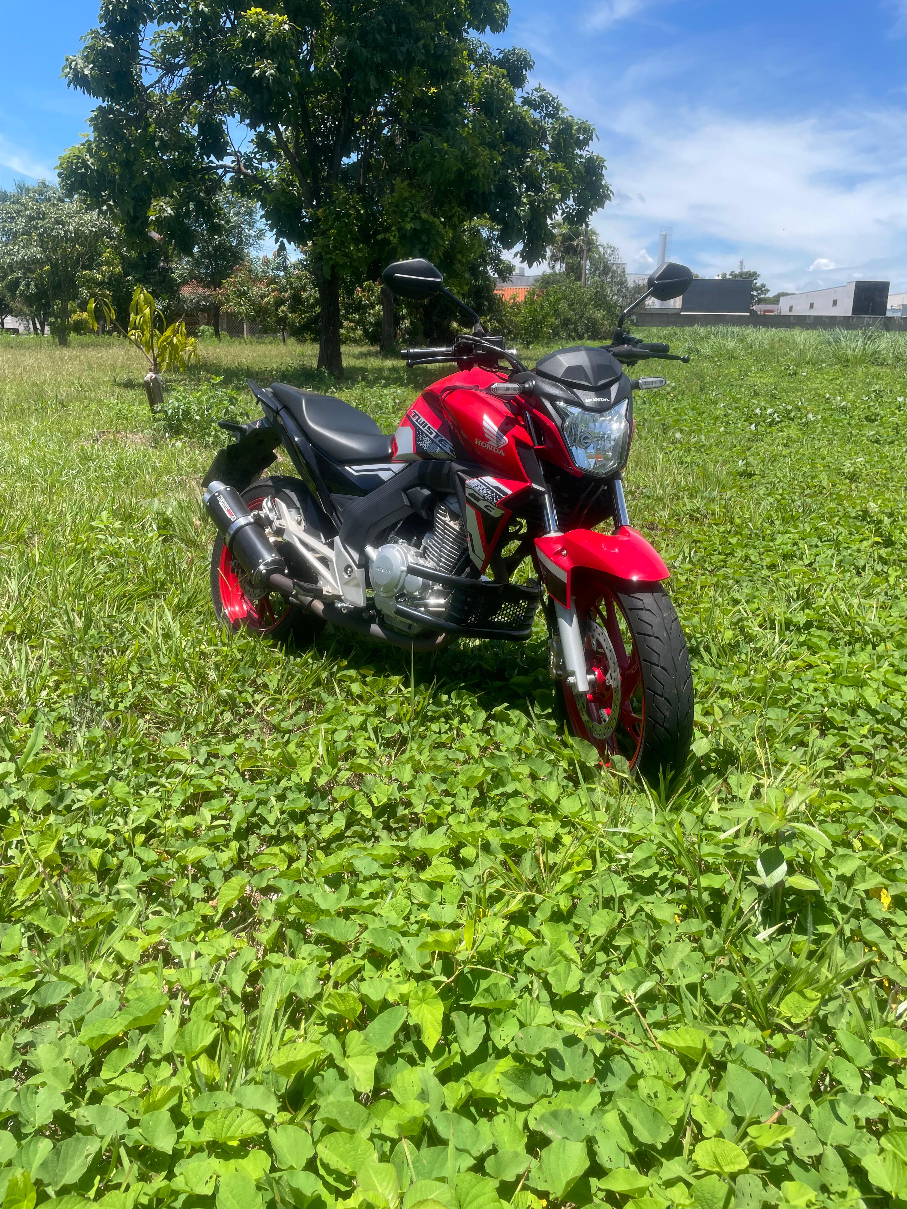 Frontal 1